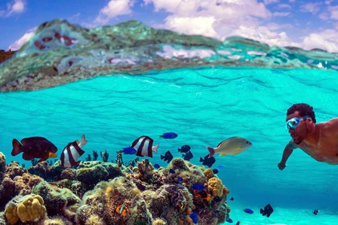 Small group snorkeling (5 people max): wrecks & tropical fishes at 10:30am - Photos included at no extra cost