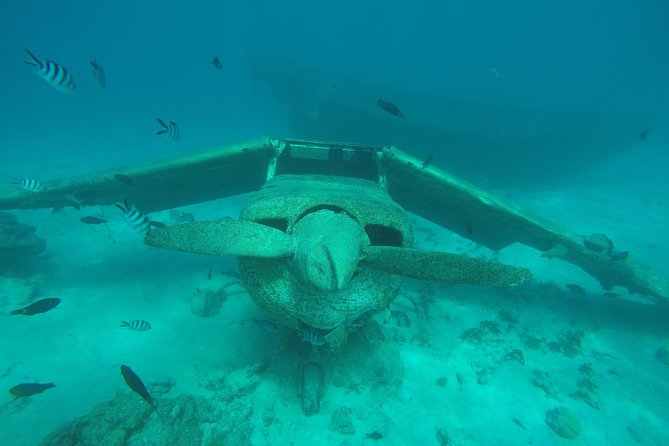 Small group snorkeling (5 people max): wrecks & tropical fishes at 10:30am - What the $99.67 price gets you