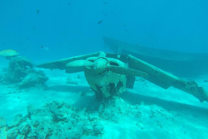 Small group snorkeling (5 people max): wrecks & tropical fishes at 3:30pm - Why Tahiti’s aquarium is worth your time