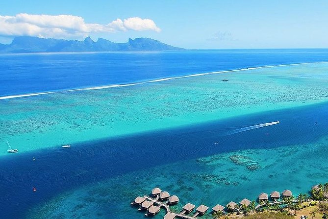 Small group snorkeling (5 people max): wrecks & tropical fishes at 3:30pm - A five-person boat changes the experience