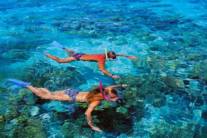 Small group snorkeling (5 people max): wrecks & tropical fishes at 3:30pm - Seventy minutes among fish, coral, and wrecks