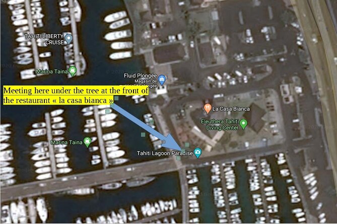 Small group snorkeling (5 people max): wrecks & tropical fishes at 3:30pm - The 10-minute cruise to the wrecks