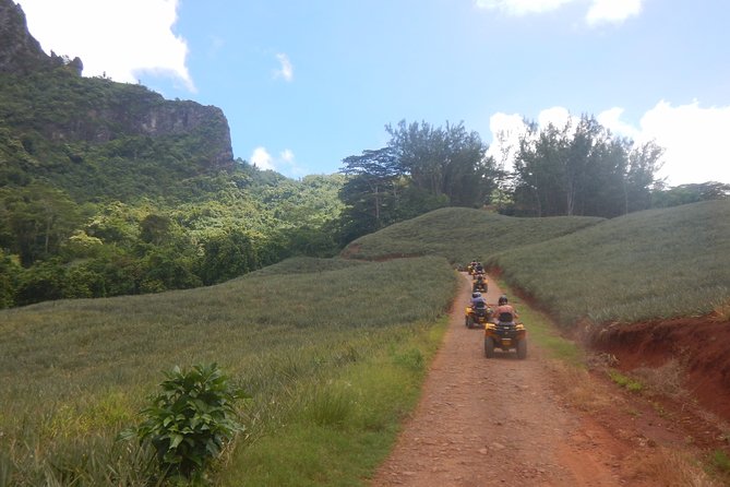 Small Magic Combo 3h30 of Quad + 1H00 of Jetski - The quad ride through Moorea’s interior