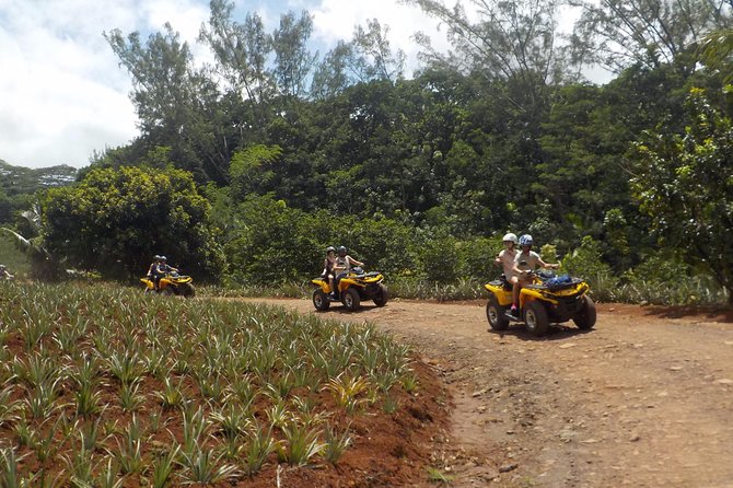 Small Quad Tour 2h30 Quad excursion in Moorea (single or two-seater) - Key points to know before you book