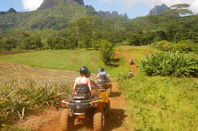 Small Quad Tour 2h30 Quad excursion in Moorea (single or two-seater) - Practical details that make the day easier