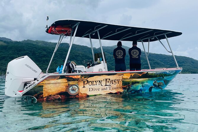 Snorkeling EN Small Group Tour in Tahiti - The first stop: dolphins in Punaauia