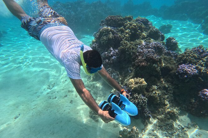 Snorkeling EN Underwater Scooter in Tahiti - Key things to know before you book