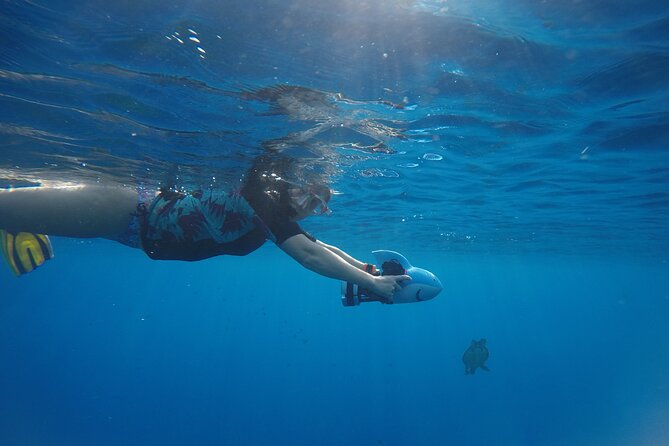 Snorkeling EN Underwater Scooter in Tahiti - What the $168.83 price buys you