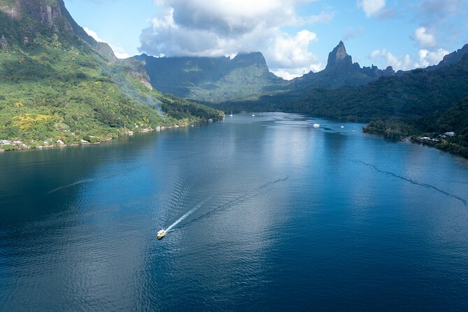 Snorkeling excursion and encounter with marine fauna in Moorea - Several snorkel stops, not one rushed swim