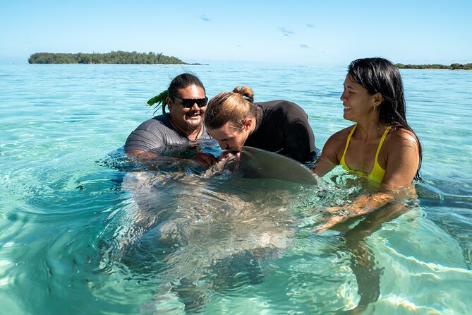 Snorkeling excursion and encounter with marine fauna in Moorea - The first ride across Moorea’s changing water