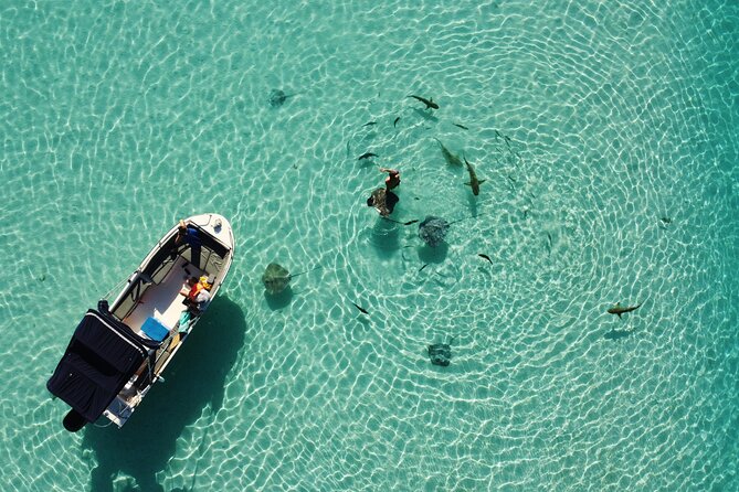 Snorkeling excursion, discovery of the lagoon, small group. - Why six people changes the morning
