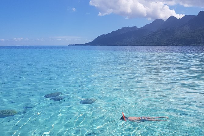 Snorkeling excursion, discovery of the lagoon, small group. - Stop one: the tow snorkel and turtle area