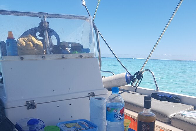 Snorkeling excursion, discovery of the lagoon, small group. - Stop two: stingrays and blacktip reef sharks at the sandbar