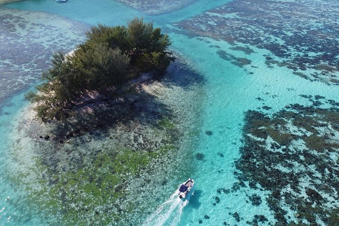 Snorkeling excursion, discovery of the lagoon, small group. - Stops three and four: reefs, coral, fish, and clams