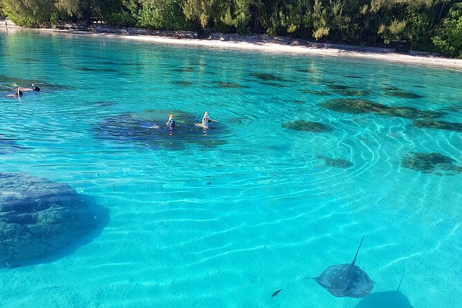 Snorkeling excursion, discovery of the lagoon, small group. - Alex’s guiding style and the value of flexibility