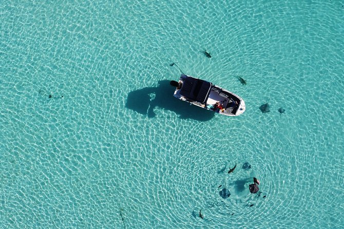 Snorkeling excursion, discovery of the lagoon, small group. - What to bring, and what the price covers