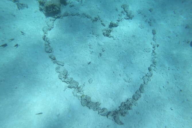 Snorkeling picnic in 4h30 with lunch in Tahiti - The crew can make or break the outing