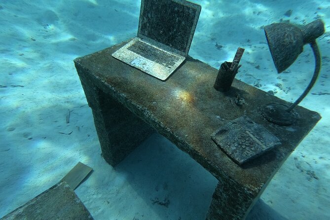 Snorkeling picnic in 4h30 with lunch in Tahiti - Boat access and comfort considerations