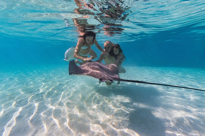 Snorkeling Tour in Moorea Aquatic Adventure Half Day - Why this Moorea lagoon trip feels different