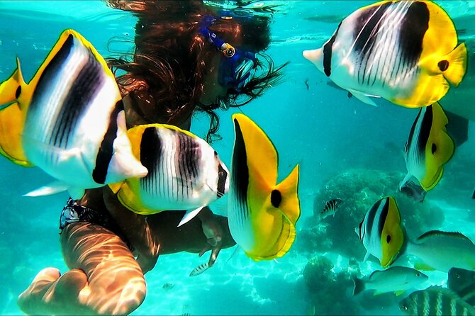 Snorkeling Tour in Moorea Aquatic Adventure Half Day - Coral, fish, rays, and reef sharks