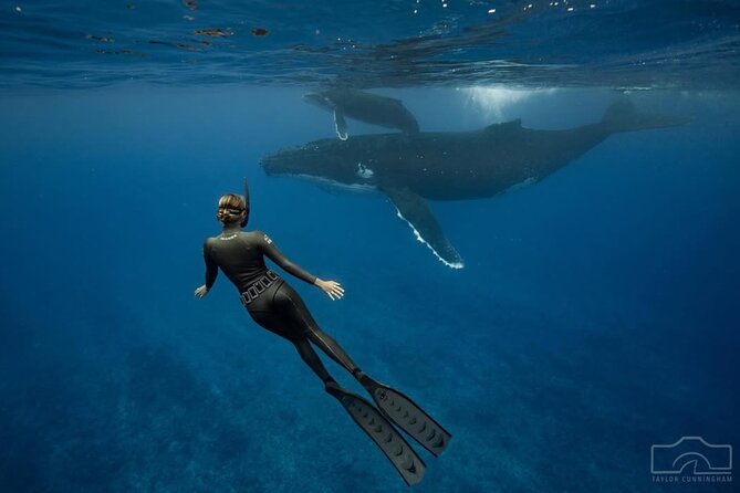 Swim in Moorea with Humpback Whales and More - Robert, Mareva, and the role of the crew