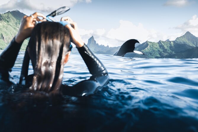 Swimming with Whales in Moorea (Half Day tour) - The whale swim demands real water skills