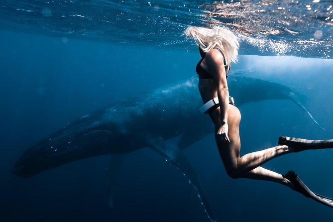 Swimming with Whales in Moorea (Half Day tour) - Is $305.30 a fair price?