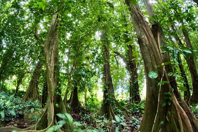 Taha'a Island or Raiatea Boat Tour - Why this Raiatea to Taha’a boat day works