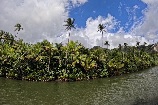 Taha'a Island or Raiatea Boat Tour - The guide and the small-group feel