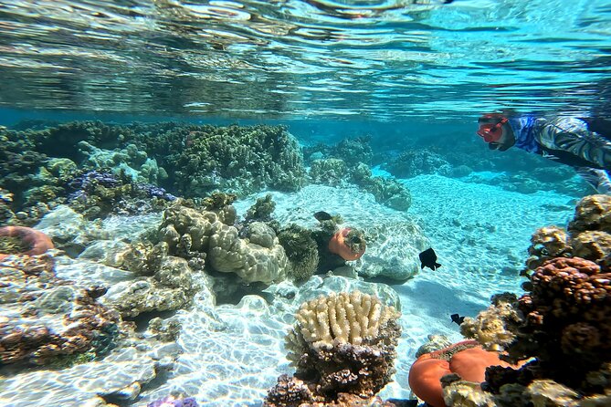 Tahaa Excursion in Electric Paddle Snorkeling Coral Garden - Why the electric paddleboard makes sense on Taha’a