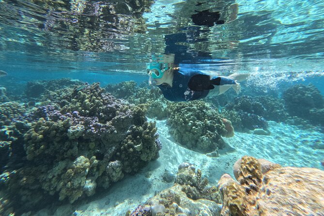 Tahaa Excursion in Electric Paddle Snorkeling Coral Garden - A snack with your feet in the lagoon
