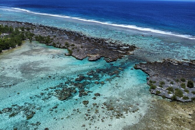Tahaa Excursion in Electric Paddle Snorkeling Coral Garden - What the three-hour morning outing includes