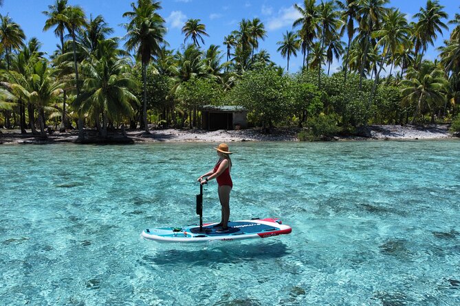 Tahaa Excursion in Electric Paddle Snorkeling Coral Garden - What your $128.23 covers
