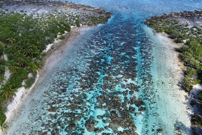 Tahaa Excursion in Electric Paddle Snorkeling Coral Garden - The guides and the feel of the outing