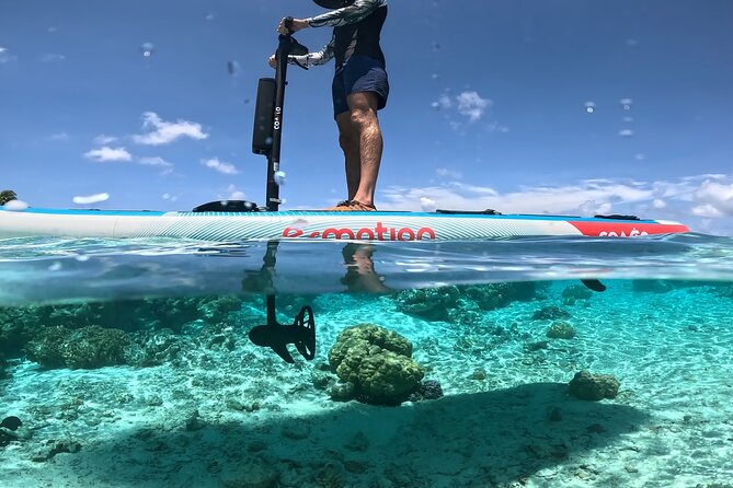 Tahaa Excursion in Electric Paddle Snorkeling Coral Garden - The reef flat and the Hoa stop