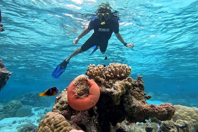 Tahaa: Kayaking Rental - Coral Garden - Snorkeling - Snorkeling at Taha’a’s natural aquarium