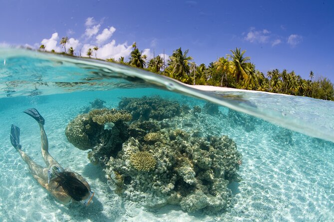 Tahaa Lagoon Tour -Departure Raiatea-Small groups (max 12 p) - A Local Rum Stop With a Different Pace