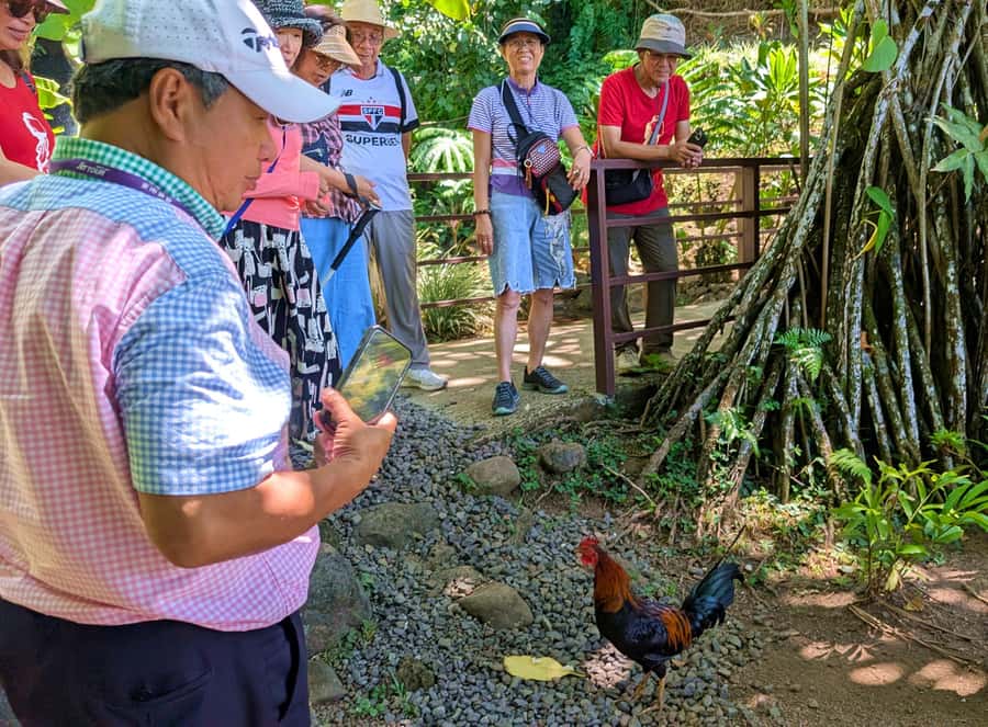 Tahiti Classical Coastal Full Day Private Tour - Why this private Tahiti route works so well