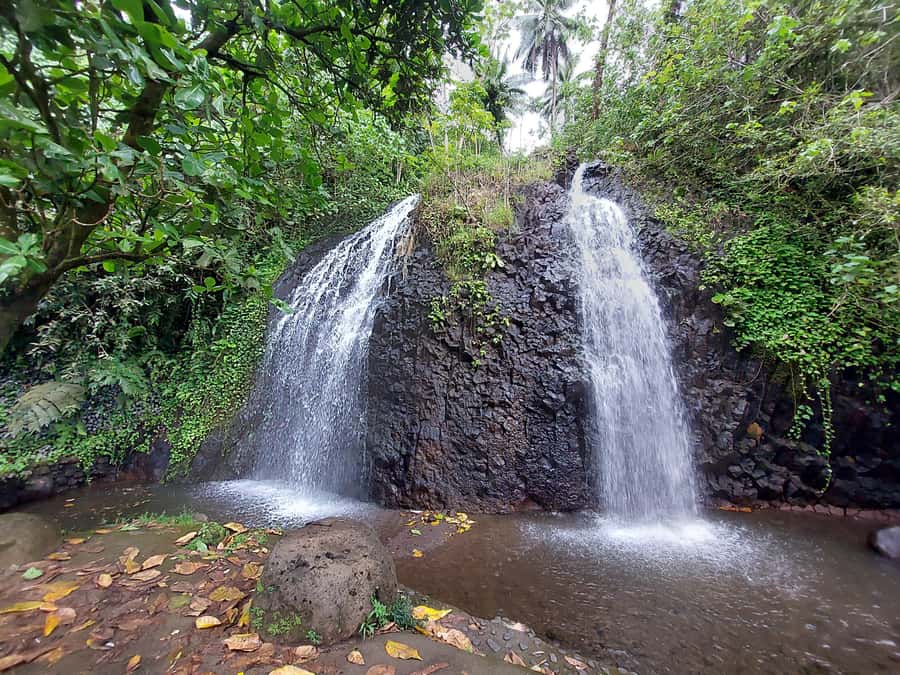 Tahiti Classical Coastal Full Day Private Tour - Vaipahi Water Gardens and the optional Gauguin lunch