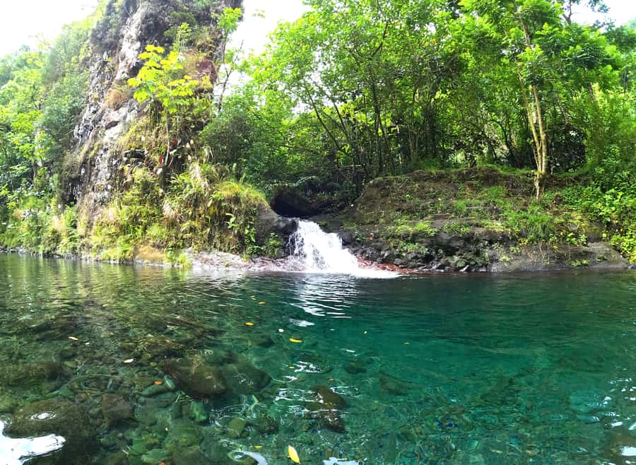 Tahiti E-bike, mtb, vtt Tour with Swimming and Lunch - Riding into the Titaaviri Valley