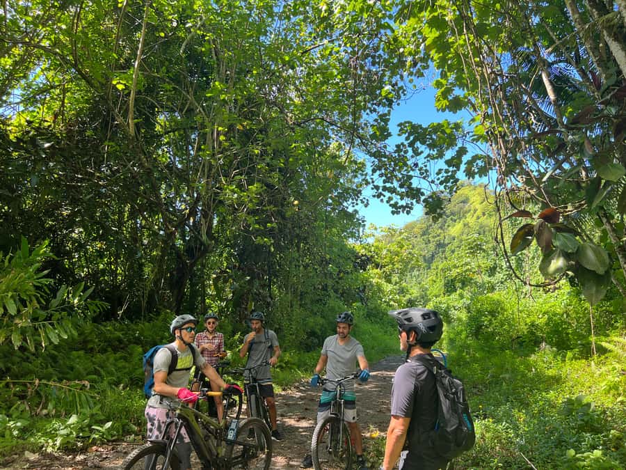 Tahiti E-bike, mtb, vtt Tour with Swimming and Lunch - E-bike assistance on a rough 4x4 track