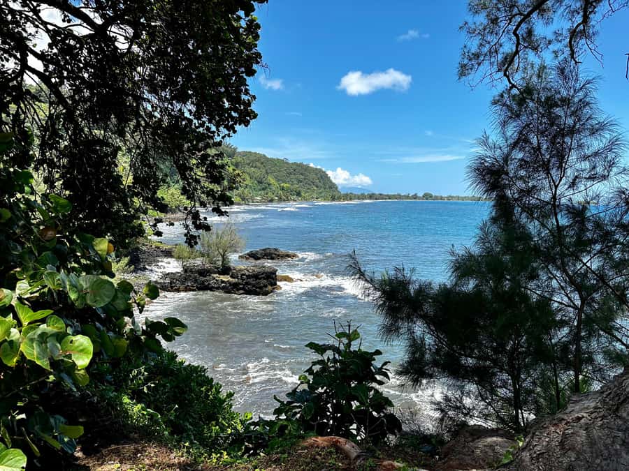 Tahiti: East or West coast tour (Half Day) - Key points to know before booking