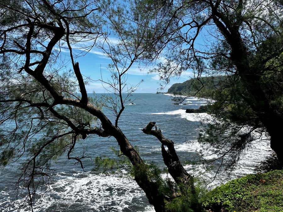 Tahiti: East or West coast tour (Half Day) - The west coast: beaches, caves, and surf