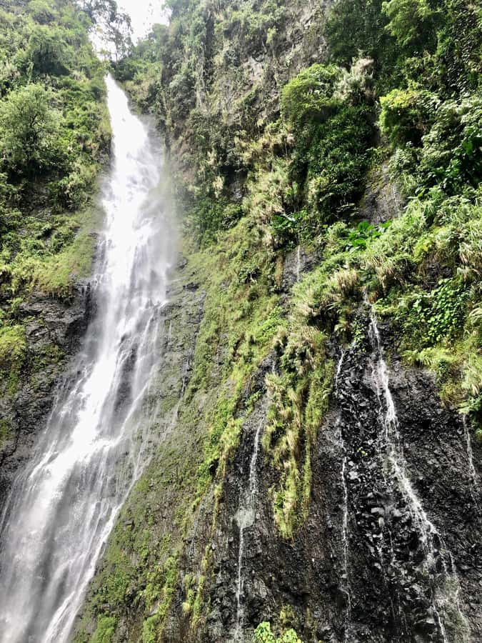 Tahiti: East or West coast tour (Half Day) - Philippe’s guiding style and language options