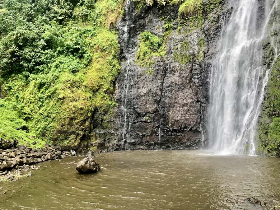 Tahiti: East or West coast tour (Half Day) - How to use four hours wisely