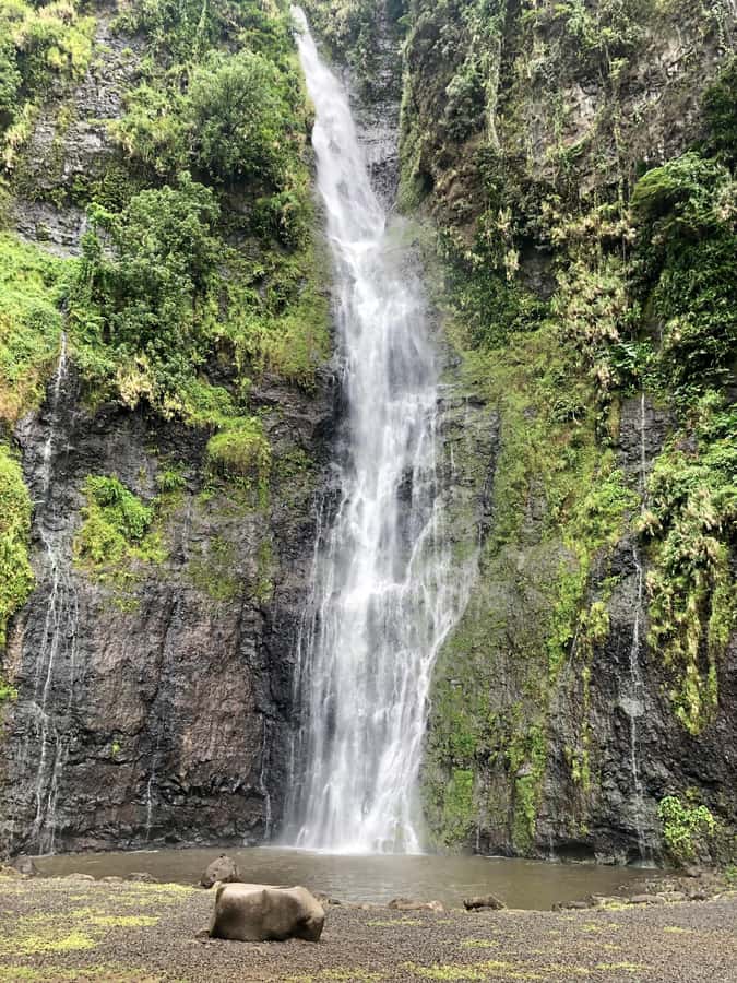 Tahiti: East or West coast tour (Half Day) - Is $550 a fair price for this Tahiti tour?