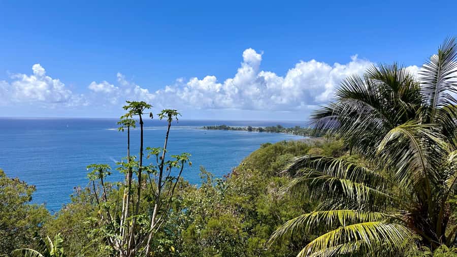 Tahiti: East or West coast tour (Half Day) - The east coast: waterfalls, cliffs, and Pointe Vénus