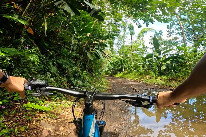 Tahiti excursion adventure circuit MTB MTB E-Bike private valley - The dams and the best high views