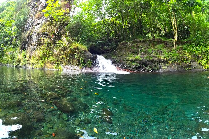 Tahiti excursion adventure circuit MTB MTB E-Bike private valley - Rain, mud, mosquitoes, and the clothing you need