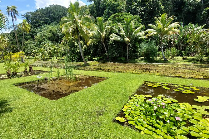Tahiti Full Day Private Coastal Tour - Why this private Tahiti tour works well